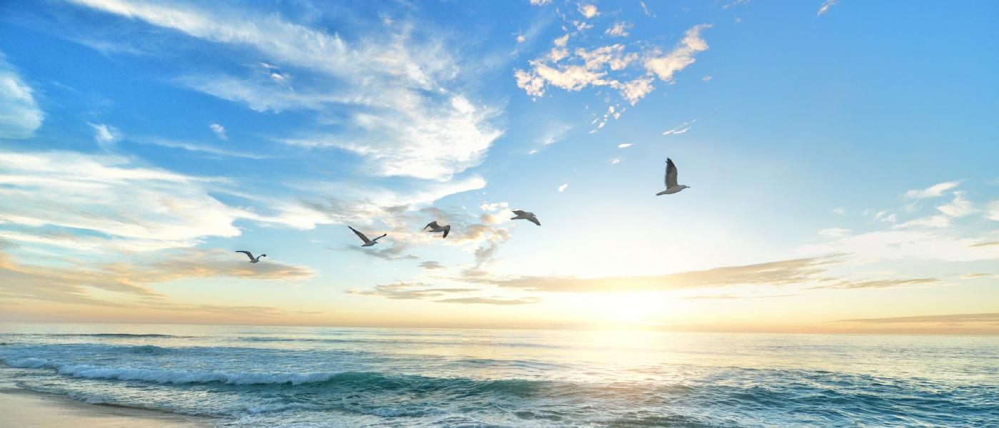 A szemek mozgékonysága és a gerinc