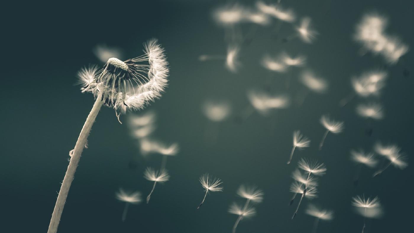 Lélegezz szabadon, létezz szabadon